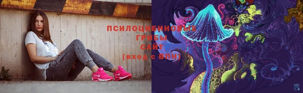 ПСИЛОЦИБИНОВЫЕ ГРИБЫ Балабаново