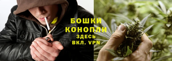 ПСИЛОЦИБИНОВЫЕ ГРИБЫ Балабаново
