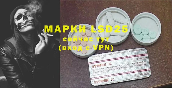 ПСИЛОЦИБИНОВЫЕ ГРИБЫ Балабаново