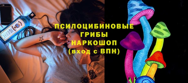 ПСИЛОЦИБИНОВЫЕ ГРИБЫ Балабаново