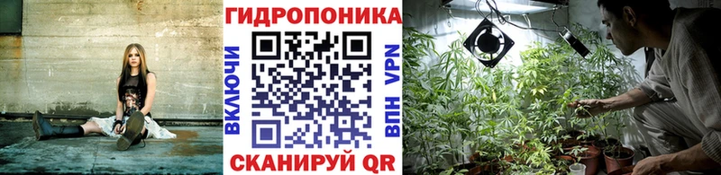 Шишки марихуана THC 21%  цены наркотик  Давлеканово 